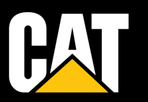 Cat - Venezuela